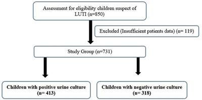 Evaluation of new generation systemic immune-inflammation markers to predict urine culture growth in urinary tract infection in children